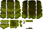 Cape_Forest_Guardian